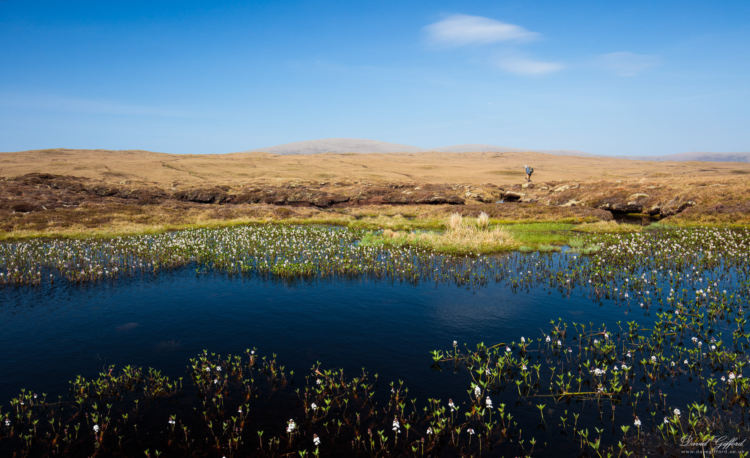 Photo: Bogbean Loch